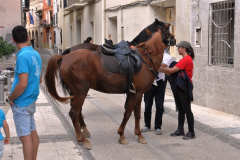 ROMERIA-SIJENA-VIVA-2026-10