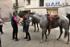 ROMERIA-SIJENA-VIVA-2026-11