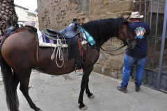 ROMERIA-SIJENA-VIVA-2026-12