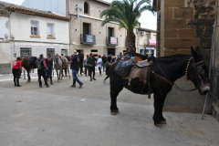 ROMERIA-SIJENA-VIVA-2026-13