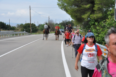 ROMERIA-SIJENA-VIVA-2026-15