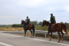 ROMERIA-SIJENA-VIVA-2026-16