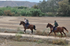 ROMERIA-SIJENA-VIVA-2026-17