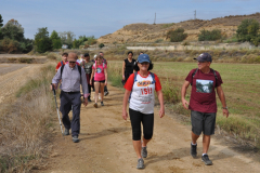 ROMERIA-SIJENA-VIVA-2026-18