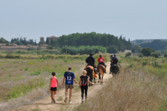 ROMERIA-SIJENA-VIVA-2026-19