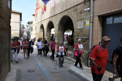 ROMERIA-SIJENA-VIVA-2026-7
